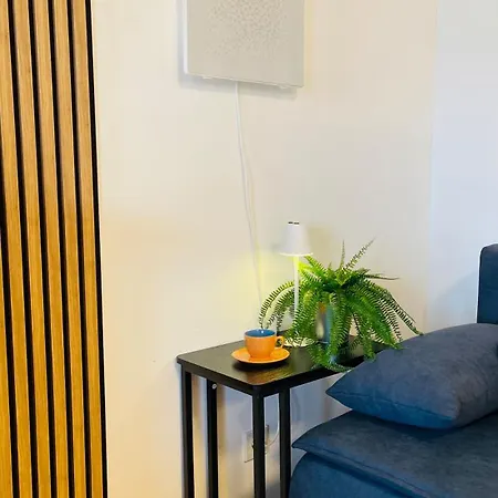 Apartment Ferienwohnung Mitte Uettingen